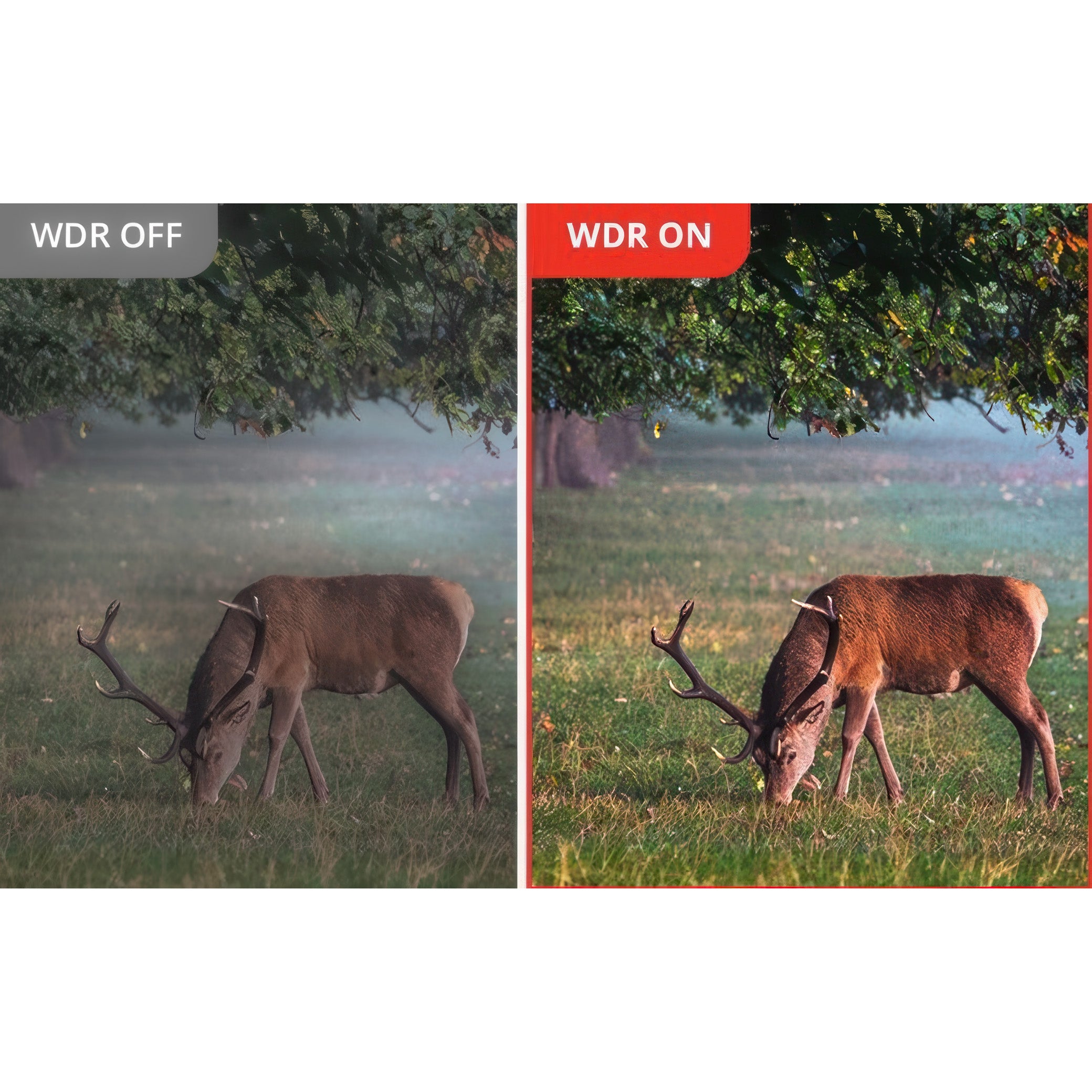 Hikmicro Habrok Pro HX60L Multi-Spectrum Binoculars Hikmicro Habrok Pro HX60L Multi-Spectrum Binoculars