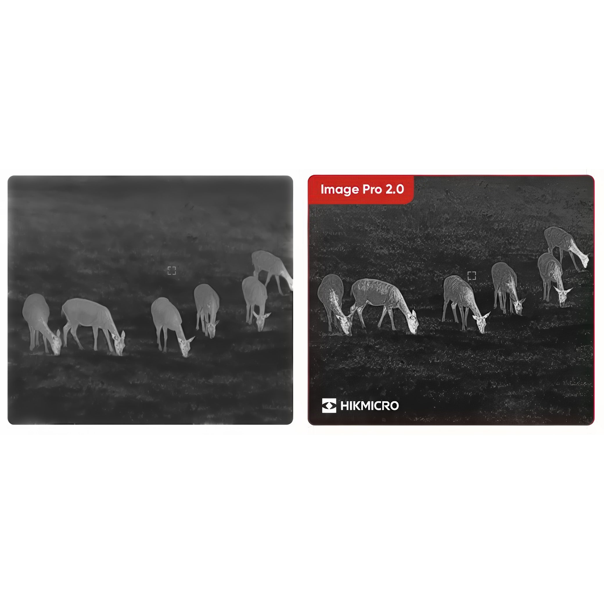 Hikmicro Habrok Pro HX60L Multi-Spectrum Binoculars Hikmicro Habrok Pro HX60L Multi-Spectrum Binoculars