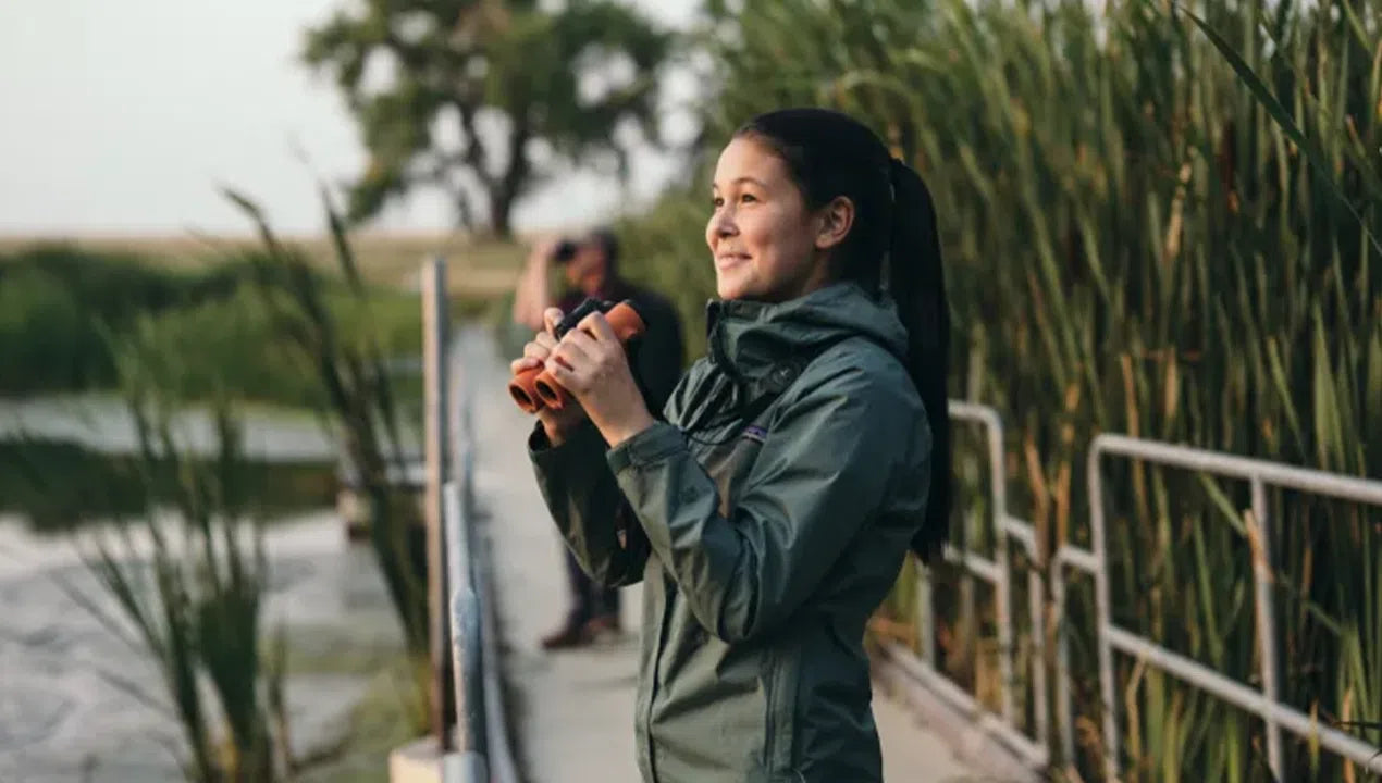 Swarovski NL Pure 8x42 Binoculars- NL842 (Green) Swarovski NL Pure 8x42 Binoculars- NL842 (Green)