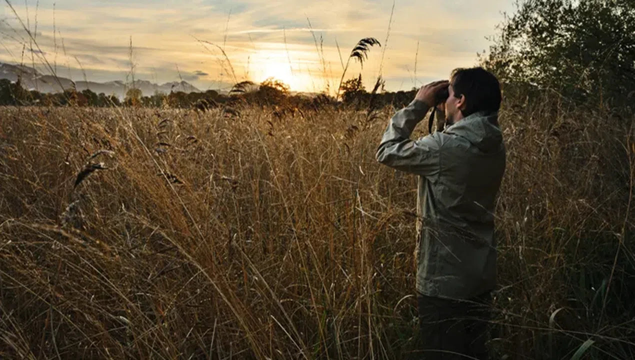 Swarovski SLC 8x56 Binoculars- SLC856 (Green) Swarovski SLC 8x56 Binoculars- SLC856 (Green)