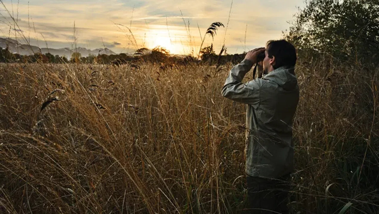 Swarovski SLC 10x56 Binoculars- SLC1056 (Green) Swarovski SLC 10x56 Binoculars- SLC1056 (Green)