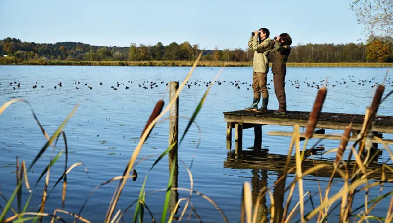 Swarovski SLC 8x56 Binoculars- SLC856 (Green) Swarovski SLC 8x56 Binoculars- SLC856 (Green)