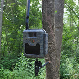 ICU Tree Screw- TRM
