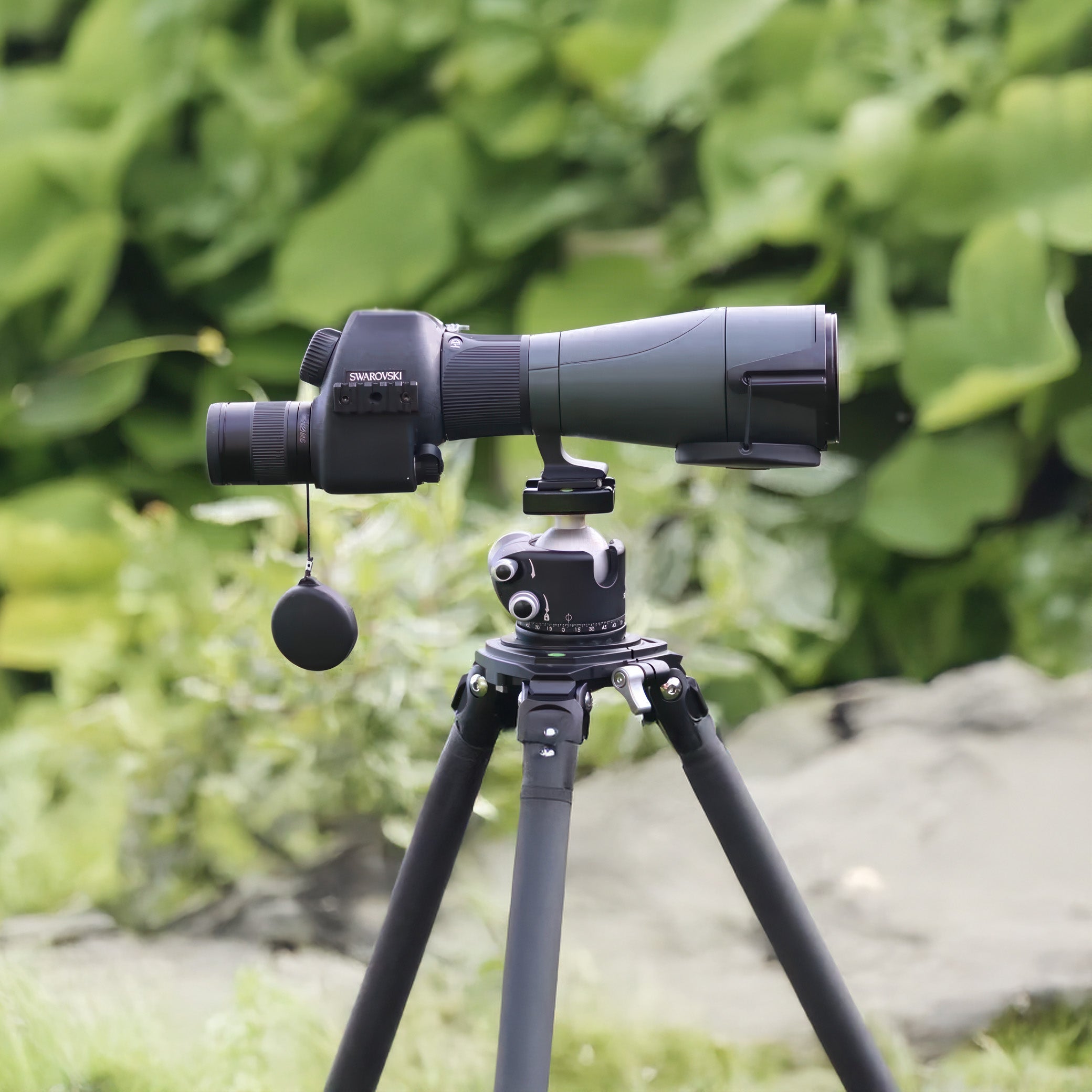 Swarovski STR 80 HD 80mm Spotting Scope Body w/ MOA Reticle