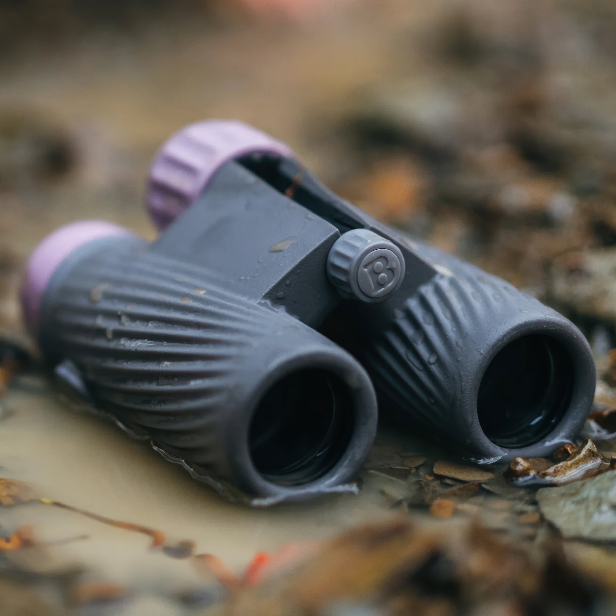 Bushnell A1 10x25 Compact Binoculars (Plum Purple)- A1-1025PP