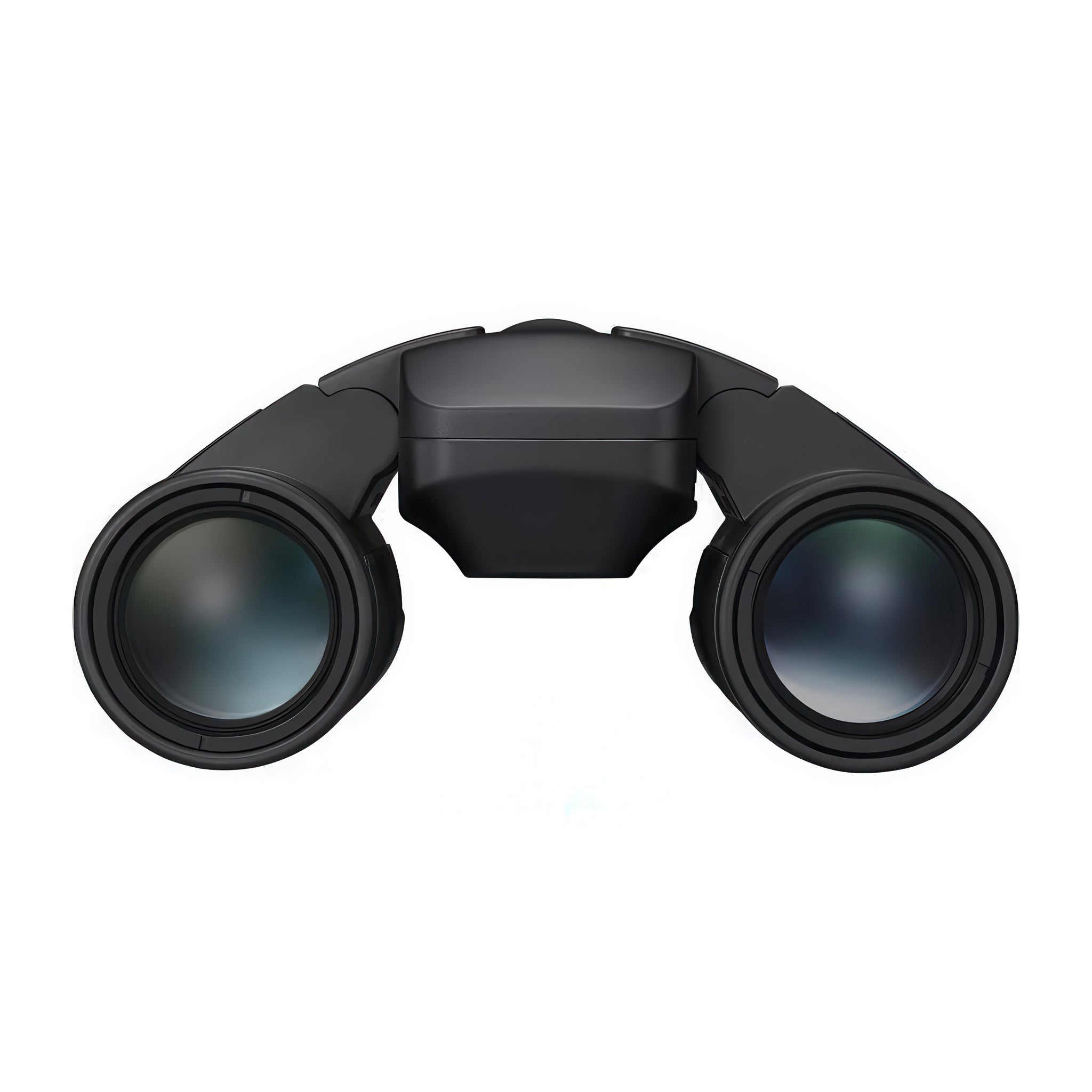 Nikon 10x25 S Stabilized Binoculars- BINNIS10X25