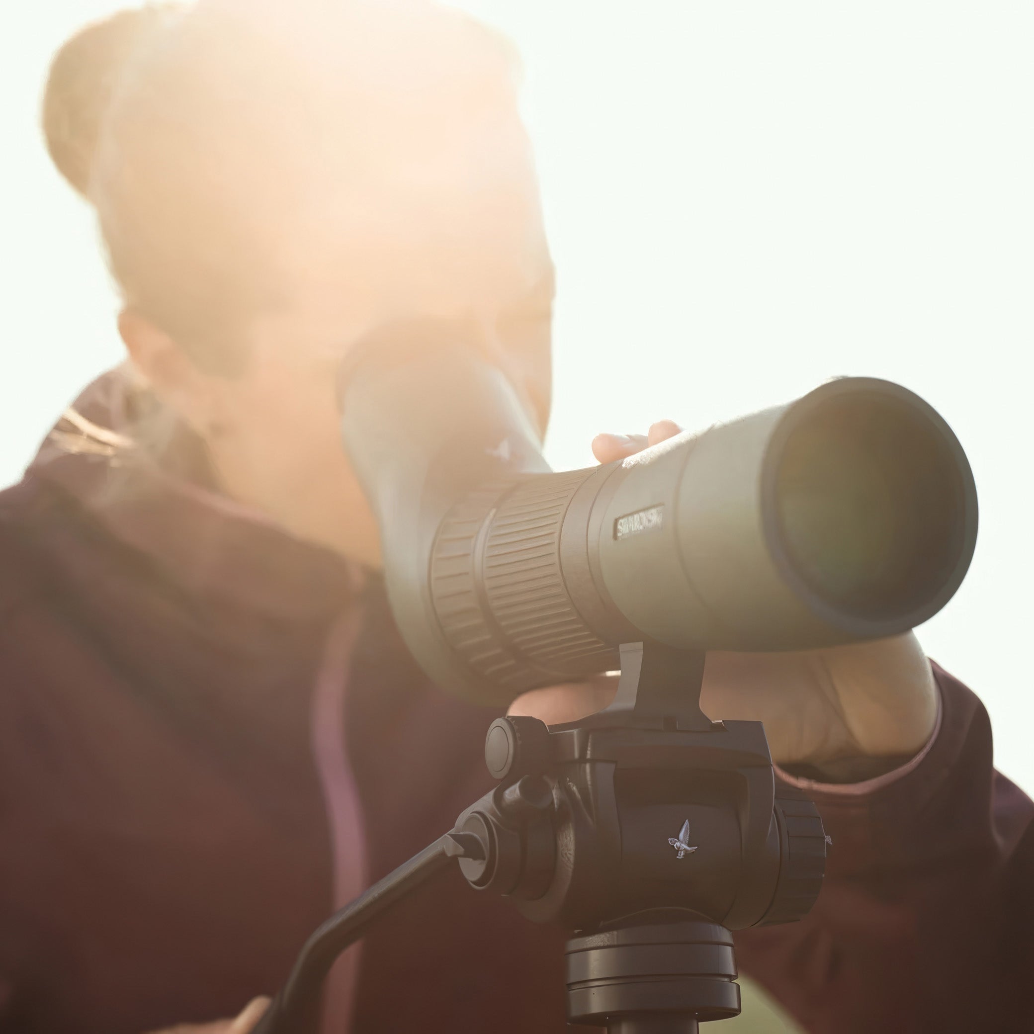 Swarovski ATX Spotting Scope Eyepiece Module