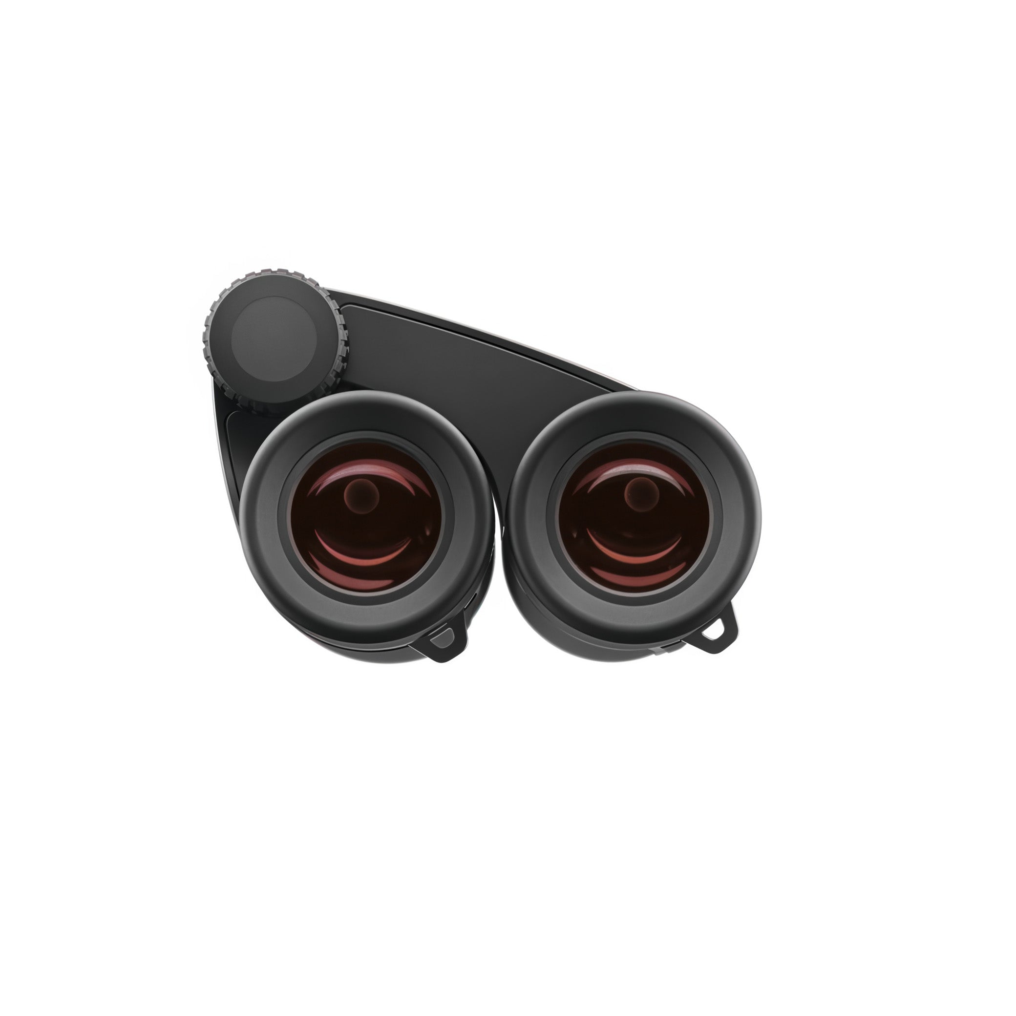 Zeiss Victory Pocket 8x25 Binoculars- 522038-9901-000