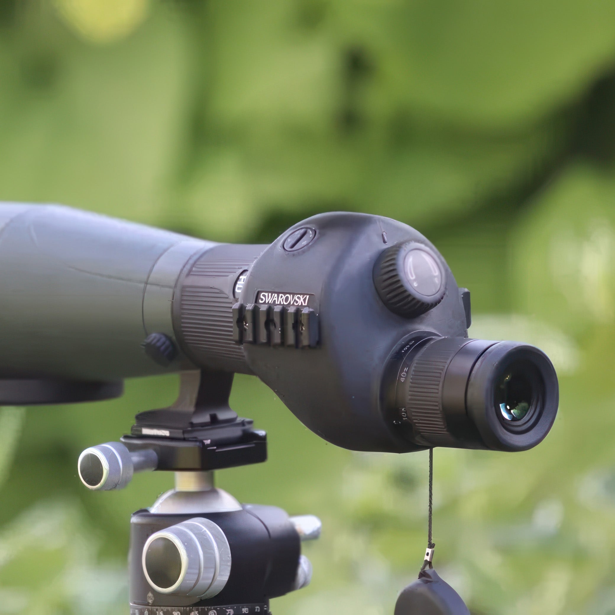 Swarovski STR 80 HD 80mm Spotting Scope Body w/ MOA Reticle