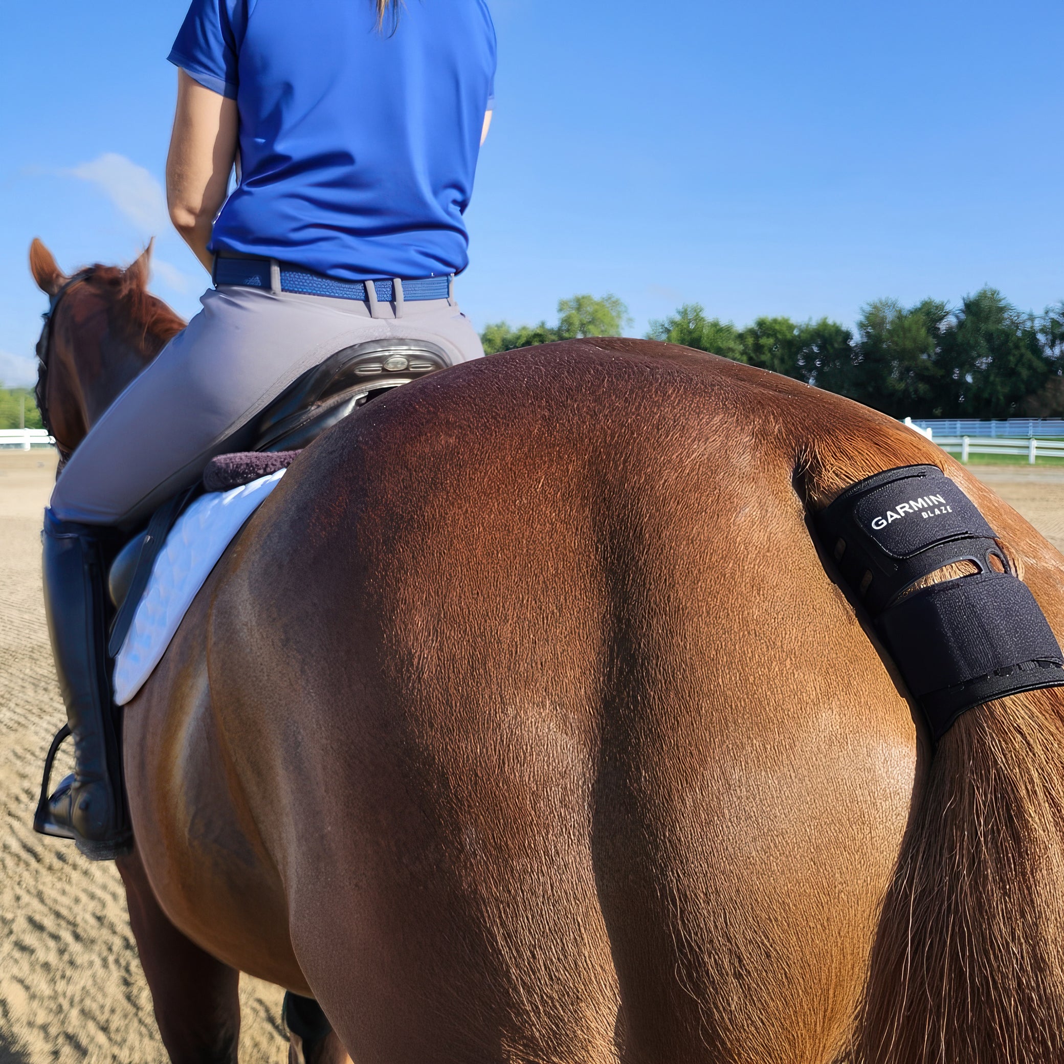 Garmin Blaze Equine Wellness System- 010-02922-01