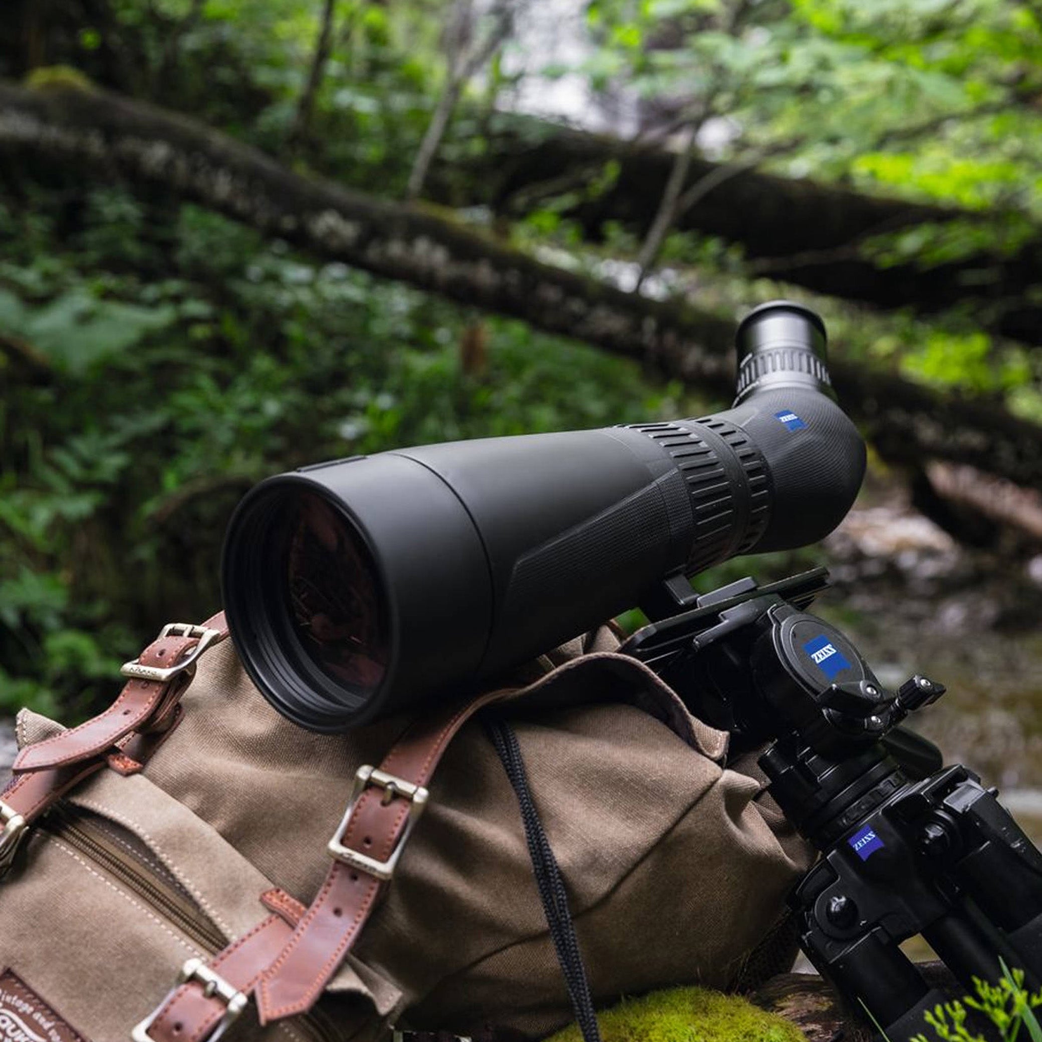 Zeiss Victory Harpia 95 Angled Spotting Scope (Body Only)- 528057-0000-000
