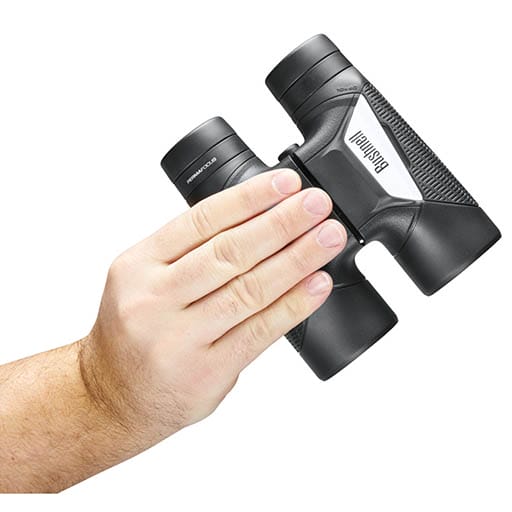 Bushnell Spectator PermaFocus Sport 10x40 Binoculars- BS11040