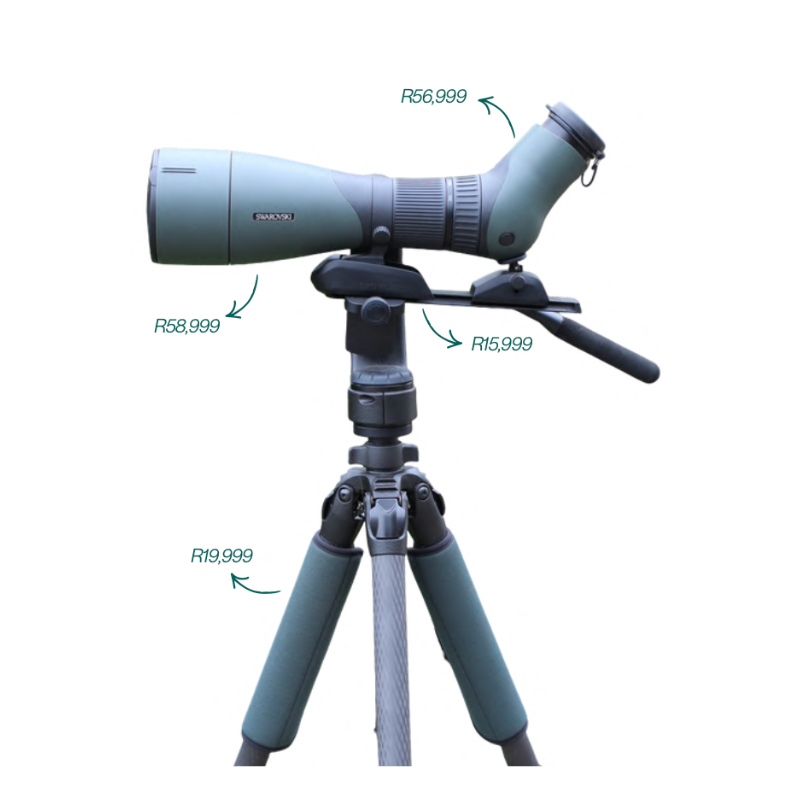(Combo) Swarovski ATX 95 30-70x95 Angled Spotting Scope Kit + Tripod